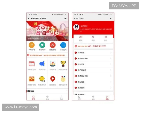 开云官方手机版安全保障措施，确保玩家账号信息与游戏资产安全